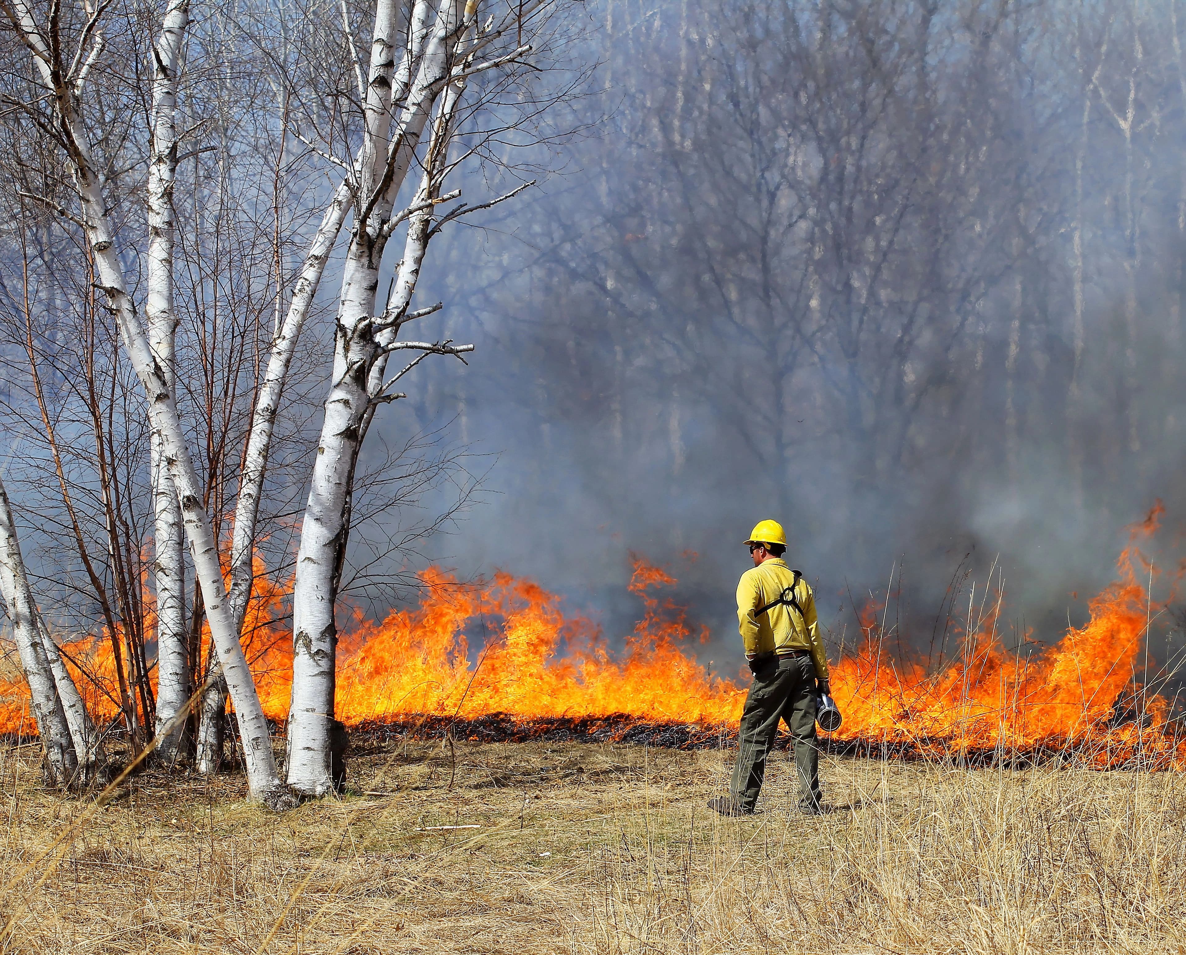 Using every tool at our disposal to put more wildlife on the land